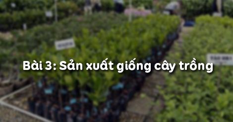 Công nghệ 10 Bài 3: Sản xuất giống cây trồng - Hoc247