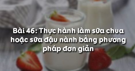 Hướng dẫn trình bày cách làm sữa chua công nghệ 10 mát lạnh cho mùa hè