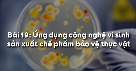 Công nghệ 10 Bài 20: Ứng dụng công nghệ vi sinh sản xuất chế phẩm bảo vệ thực vật