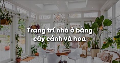 trang trí nhà ở bằng cây cảnh và hoa