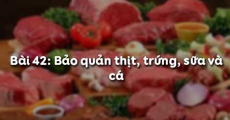 Công nghệ 10 Bài 43: Bảo quản thịt, trứng, sữa và cá