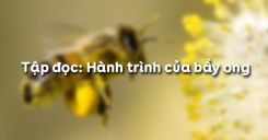 Tập đọc: Hành trình của bầy ong