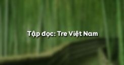 Tập đọc: Tre Việt Nam