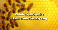 Chính tả Nhớ-viết : Hành trình của bầy ong