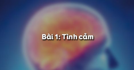 Bài 1: Tình cảm