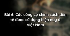 Bài 6: Các công cụ chính sách tiền tệ được sử dụng hiện nay ở Việt Nam