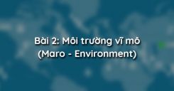 Bài 2: Môi trường vĩ mô (Maro - Environment)