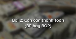 Bài 2: Cán cân thanh toán (BP hay BOP)
