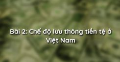 Bài 2: Chế độ lưu thông tiền tệ ở Việt Nam