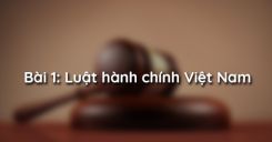 Bài 1: Luật hành chính Việt Nam