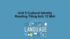 Unit 5: Cultural Identity - Reading