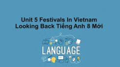Unit 5: Festivals In Vietnam - Looking Back
