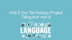 Unit 6: Our Tet Holiday - Project