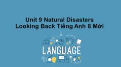 Unit 9: Natural Disasters - Looking Back