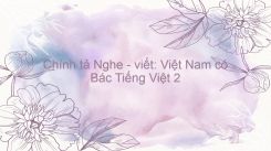 Chính tả Nghe - viết: Việt Nam có Bác