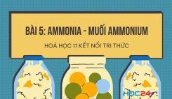 Bài 5: Ammonia - Muối ammonium