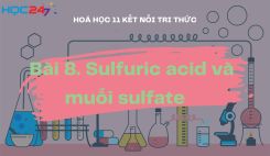 Bài 8: Sulfuric acid và muối sulfate