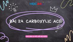 Bài 24: Carboxylic acid