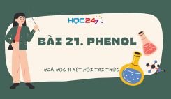 Bài 21: Phenol
