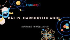 Bài 19: Carboxylic acid