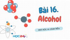 Bài 16: Alcohol