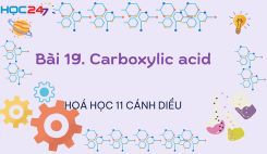 Bài 19: Carboxylic acid