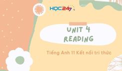 Unit 4  - Reading