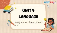 Unit 4  - Language