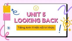 Unit 5 - Looking Back