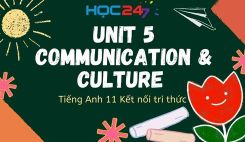 Unit 5 - Communication and Culture / CLIL