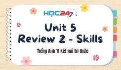 Review 2 - Skills
