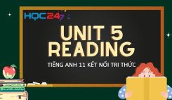 Unit 5  - Reading