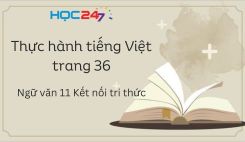Thực hành tiếng Việt trang 36