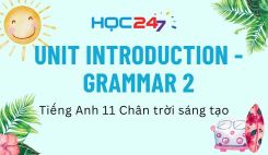Unit Introduction - Grammar 2