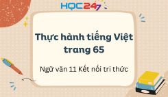 Thực hành tiếng Việt trang 65