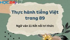 Thực hành tiếng Việt trang 89