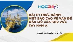 Bài 17: TH: Viết báo cáo về vấn đề dầu khí của khu vực Tây Nam Á