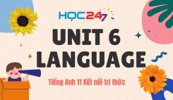 Unit 6 - Language