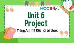 Unit 6 - Project