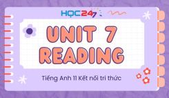 Unit 7 - Reading