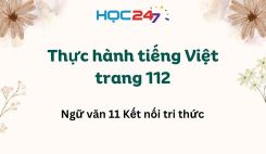 Soạn bài Thực hành tiếng Việt trang 112 - Ngữ văn 11 Tập 1 Kết Nối Tri Thức