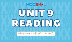 Unit 9 - Reading