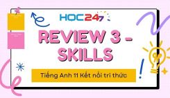 Review 3 - Skills