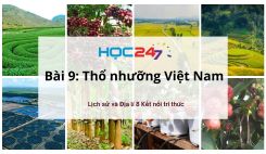 Bài 9: Thổ nhưỡng Việt Nam