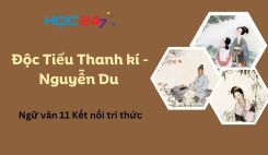 Độc Tiểu Thanh kí - Nguyễn Du
