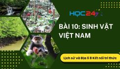 Bài 10: Sinh vật Việt Nam