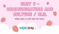 Unit 9 - Communication and Culture / CLIL