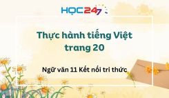 Thực hành tiếng Việt trang 20