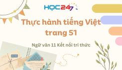 Thực hành tiếng Việt trang 51