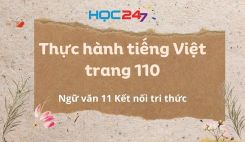 Thực hành tiếng Việt trang 110